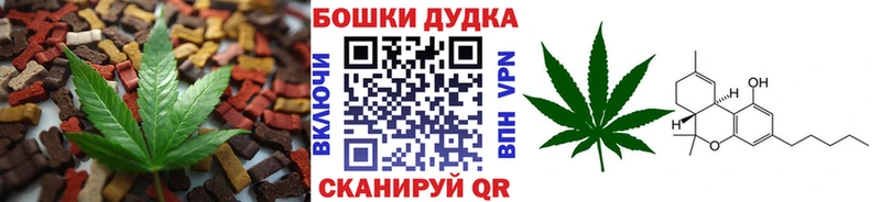 Купить закладки  Анжеро-Судженск  Canna-Cookies марихуана 
